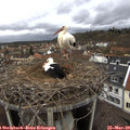 15_00-nest.jpg
