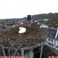 06_25-nest.jpg
