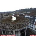 06_30-nest.jpg