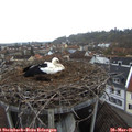 07_05-nest.jpg