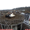 07_15-nest.jpg