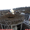 07_25-nest.jpg