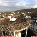 07_55-nest.jpg