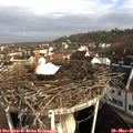 08_00-nest.jpg