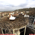 08_05-nest.jpg