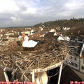 08_15-nest.jpg