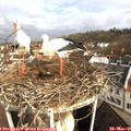 08_25-nest.jpg