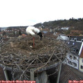 10_35-nest.jpg