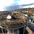 17_05-nest.jpg