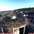 06_45-nest.jpg