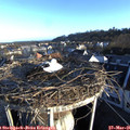 06_50-nest.jpg