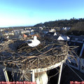 06_55-nest.jpg