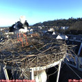 07_00-nest.jpg