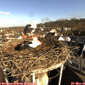 08_00-nest.jpg