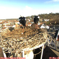 08_15-nest.jpg