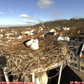 08_55-nest.jpg