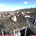 09_00-nest.jpg
