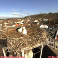 09_05-nest.jpg