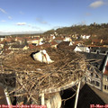 09_10-nest.jpg