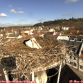 09_20-nest.jpg
