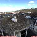 09_25-nest.jpg