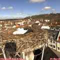09_40-nest.jpg