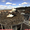 11_05-nest.jpg