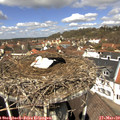 12_00-nest.jpg