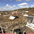 12_05-nest.jpg