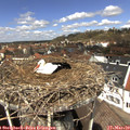 12_10-nest.jpg