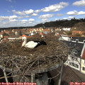 12_15-nest.jpg