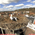 13_05-nest.jpg