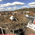 13_15-nest.jpg