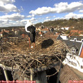 14_05-nest.jpg