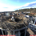 17_00-nest.jpg