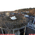 18_10-nest.jpg