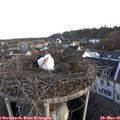 06_15-nest.jpg