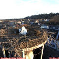 06_30-nest.jpg