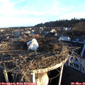 06_35-nest.jpg