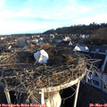 06_40-nest.jpg