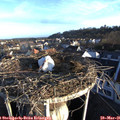 06_45-nest.jpg