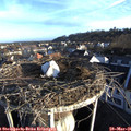 06_50-nest.jpg