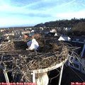 06_55-nest.jpg