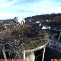 07_00-nest.jpg