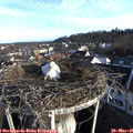 07_10-nest.jpg