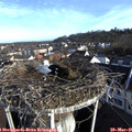 07_25-nest.jpg