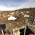 09_15-nest.jpg