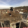 10_00-nest.jpg