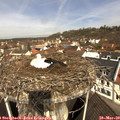 10_25-nest.jpg