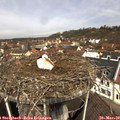 11_00-nest.jpg